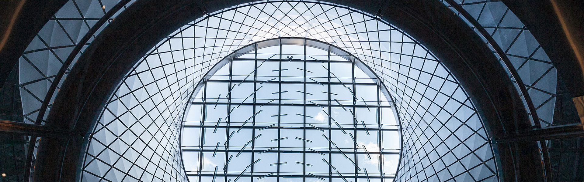 ���ŵ���