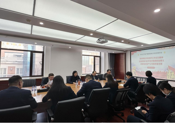 �����ʲ��������޹�˾��֧����չ֧����ǽ������˶�